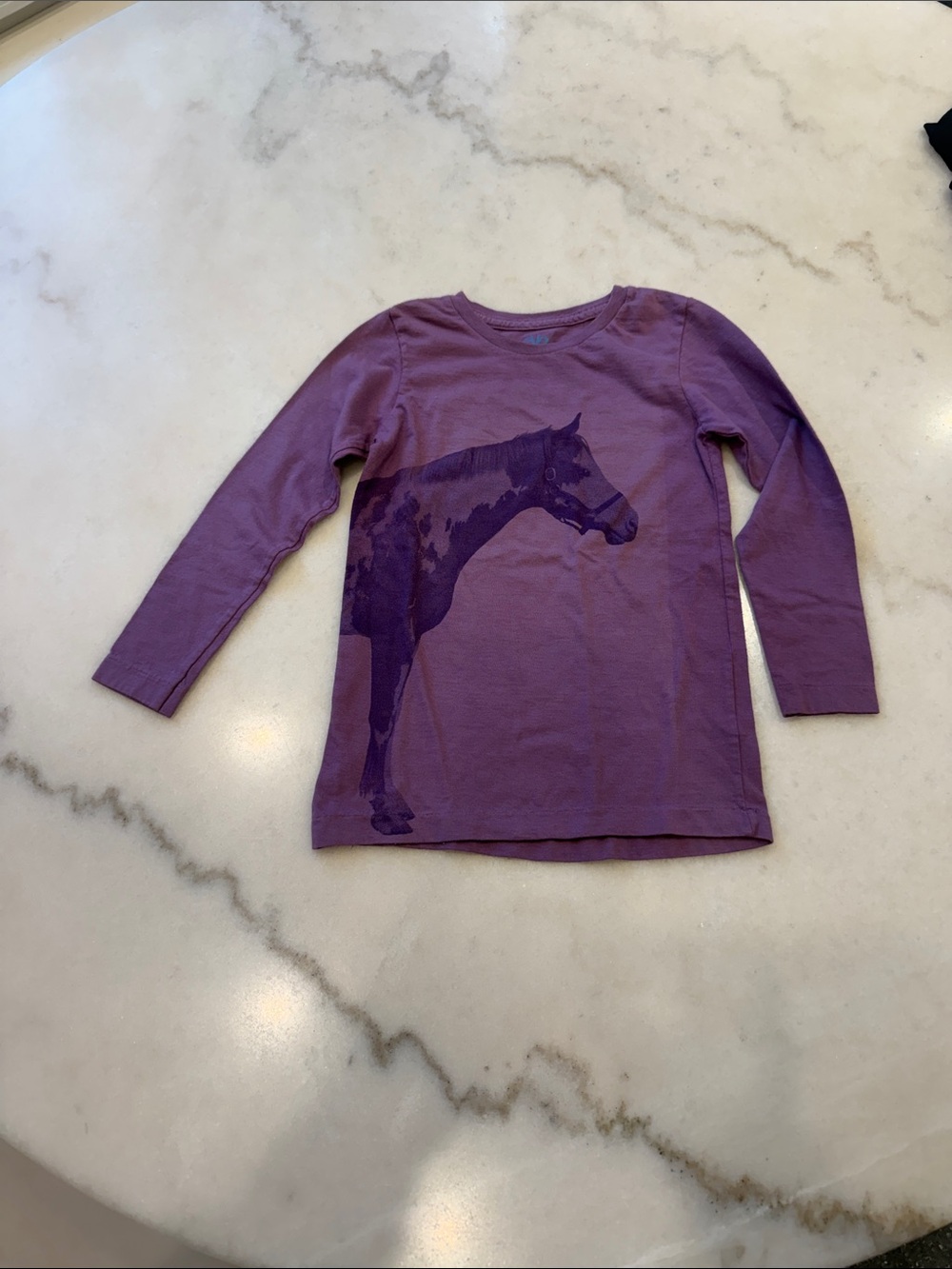 NWOT SALVOR Purple Horse Graphic Long-Sleeve Kids Top